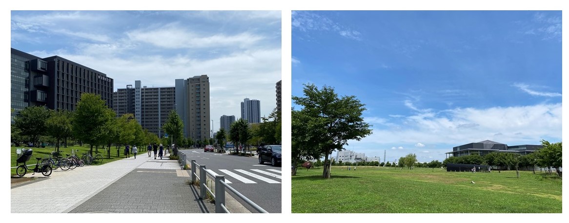 シティテラス金町の周辺環境公園