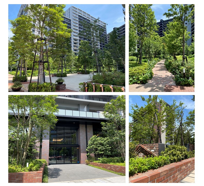 シティテラス金町のマンション内写真