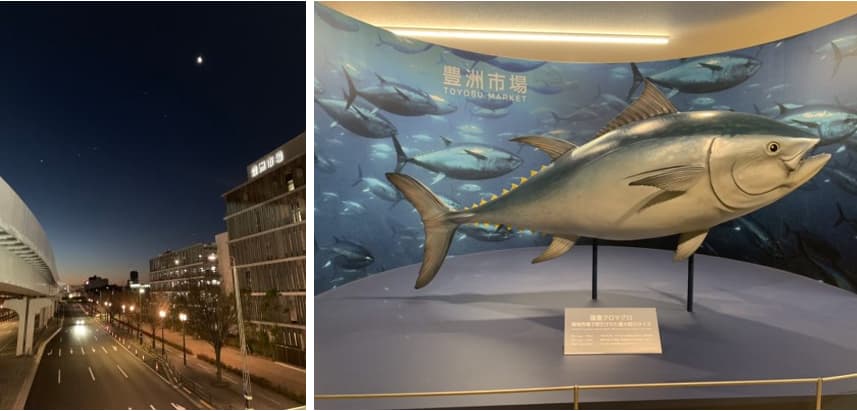 BrilliaMare（ブリリアマ―レ） 有明の周辺環境（豊洲市場見学）