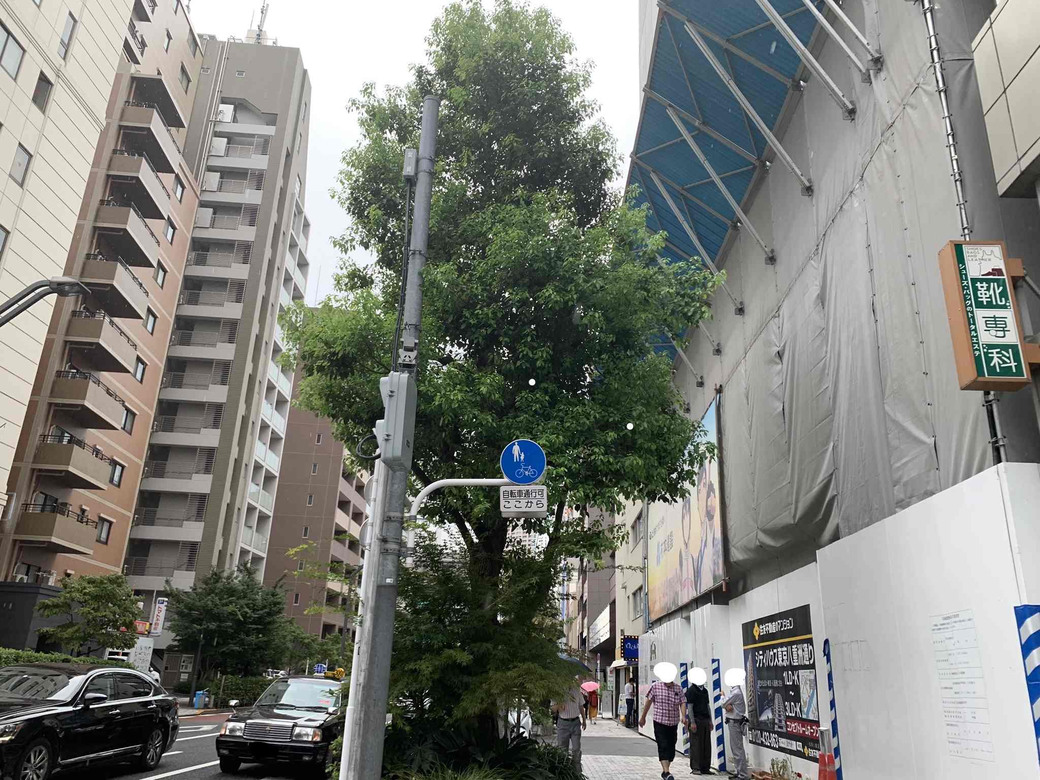 シティハウス東京八重洲通りの現地