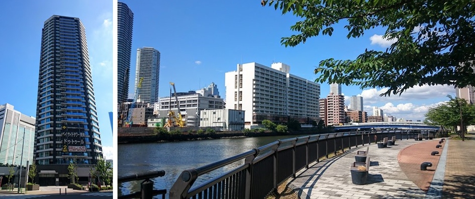 ベイサイドタワー晴海の周辺環境