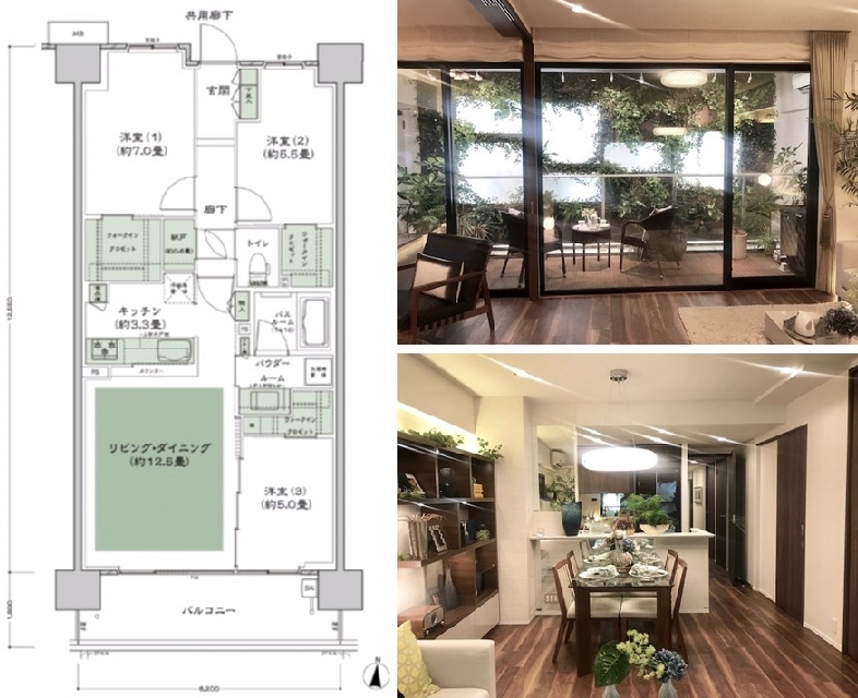 シティテラス小金井公園の間取図