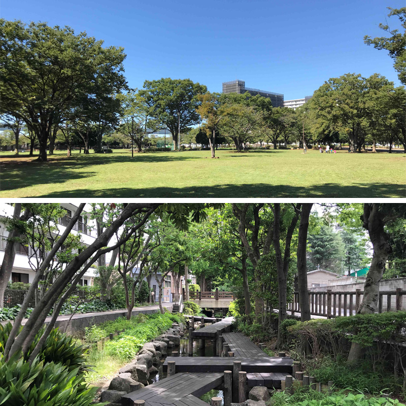 シティテラス新小岩の周辺環境（公園）