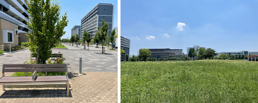 ソライエシティ-ザ・パーク／ザ・ガーデンの周辺環境（プロムナード・公園）