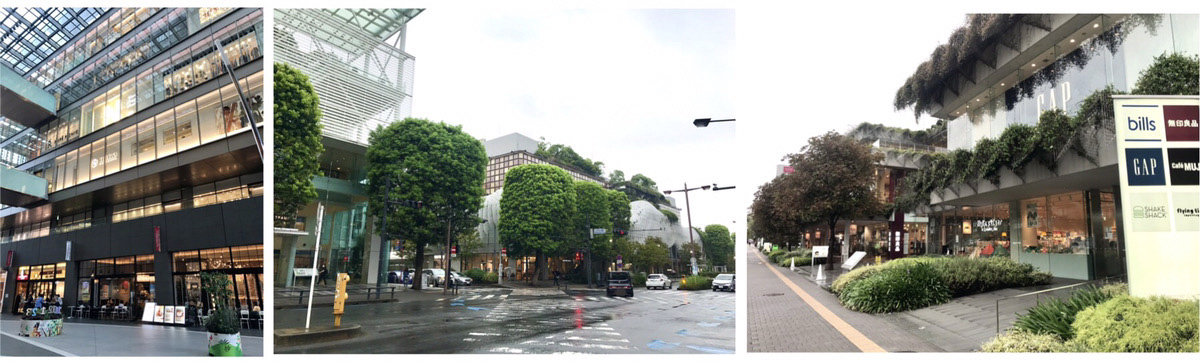 シティハウス二子玉川 ザ・グランドの周辺写真