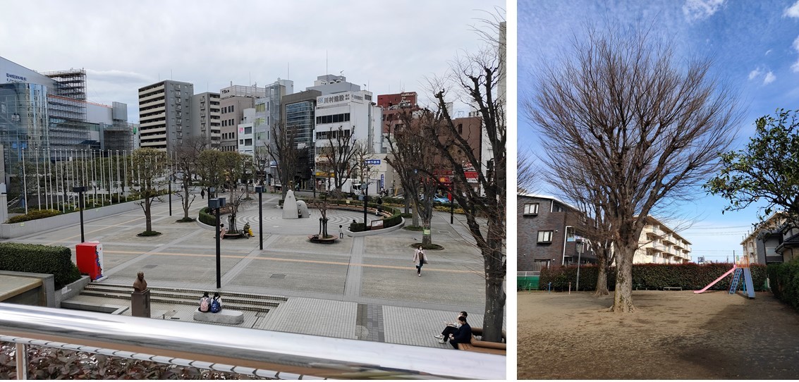⑨大宮スカイ&スクエア ザ・タワーの周辺環境
