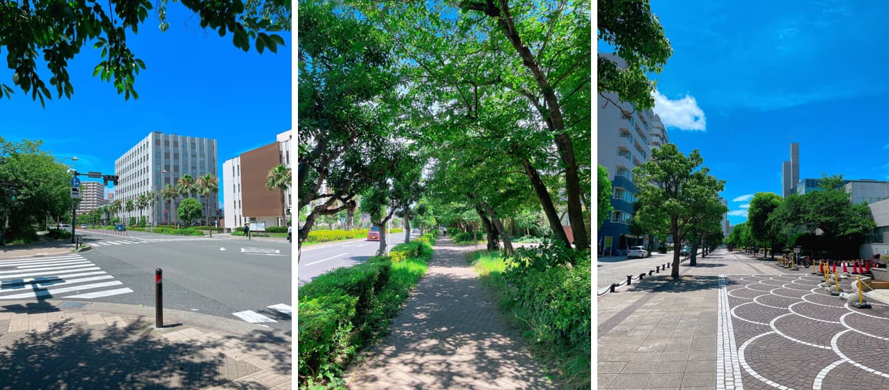 プレミアムレジデンス横須賀中央の周辺環境