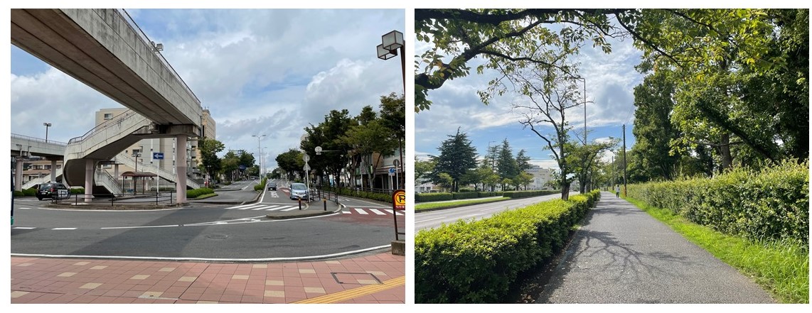 アルファグランデ成田八番街の周辺環境（駅と並木通り）