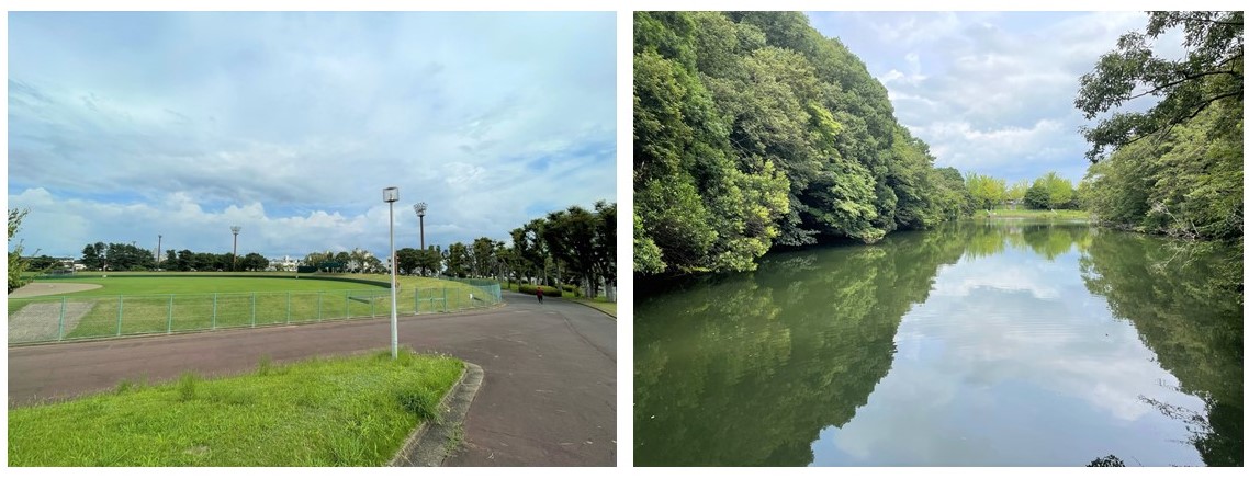 アルファグランデ成田八番街の周辺環境（公園）