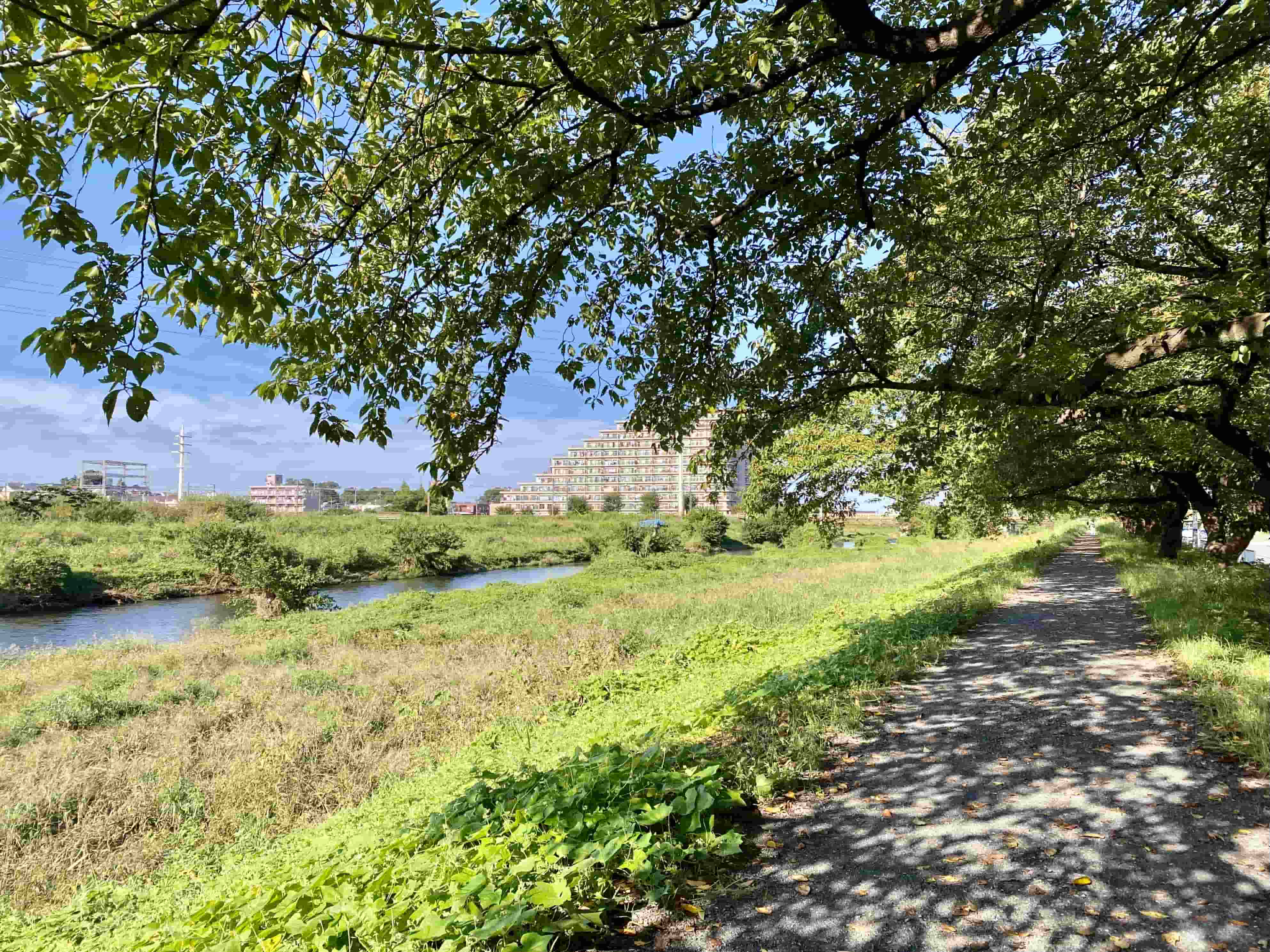パークホームズ志木コンフォートテラスの周辺環境（柳瀬川遊歩道）