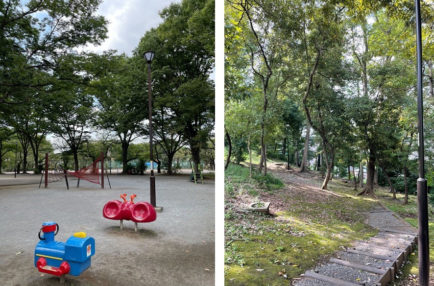 プラネスーペリア成増の周辺環境（公園）