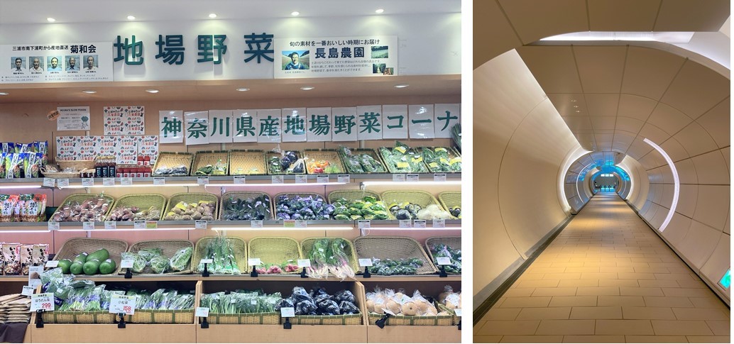 クレストレジデンス横浜 SKY VIEW SHIOMIDAIの周辺環境（スーパー、エレベーター）