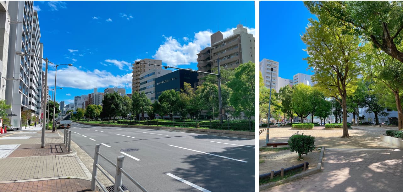 ジオタワー新町の自然環境（公園）