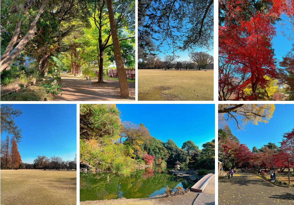 クラッシィタワー新宿御苑の新宿御苑