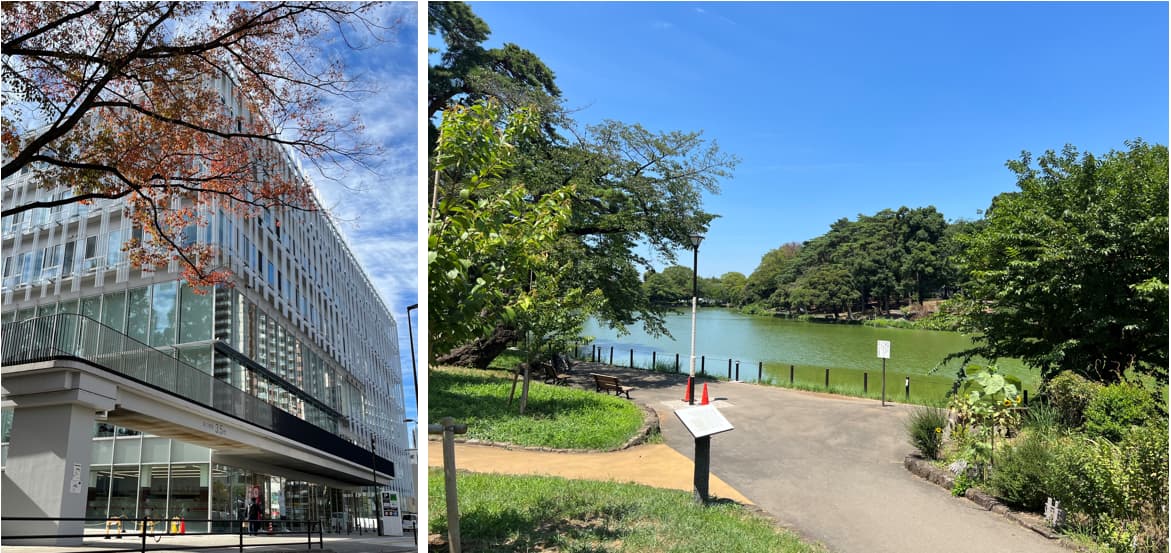 ウィルローズ大宮KAN周辺環境（公園）