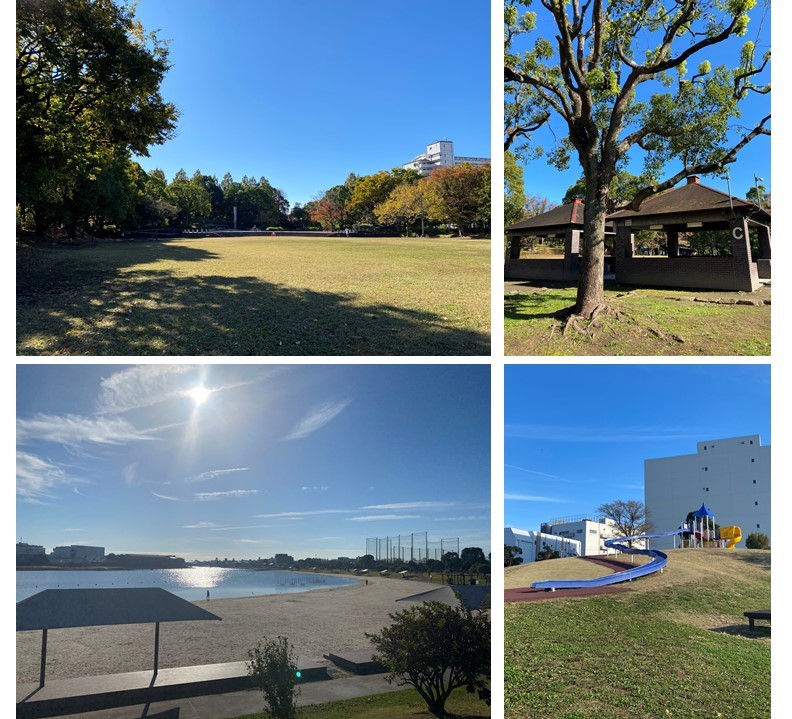 アールブラン大森レジデンスの周辺環境（公園）