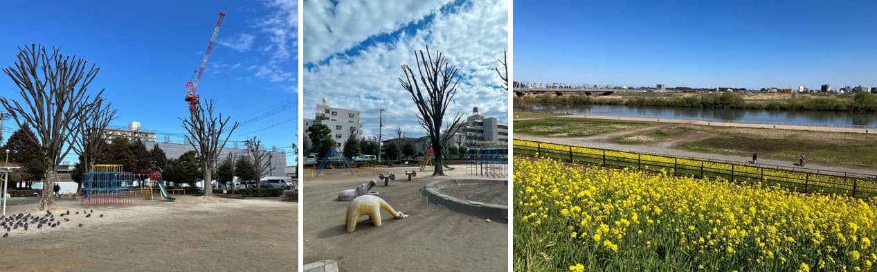 ザ・パークハウス 三郷の周辺環境（自然環境