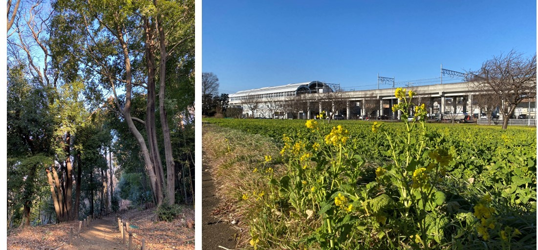 ザ・パークハウス 横浜川和町テラスの周辺環境（公園）