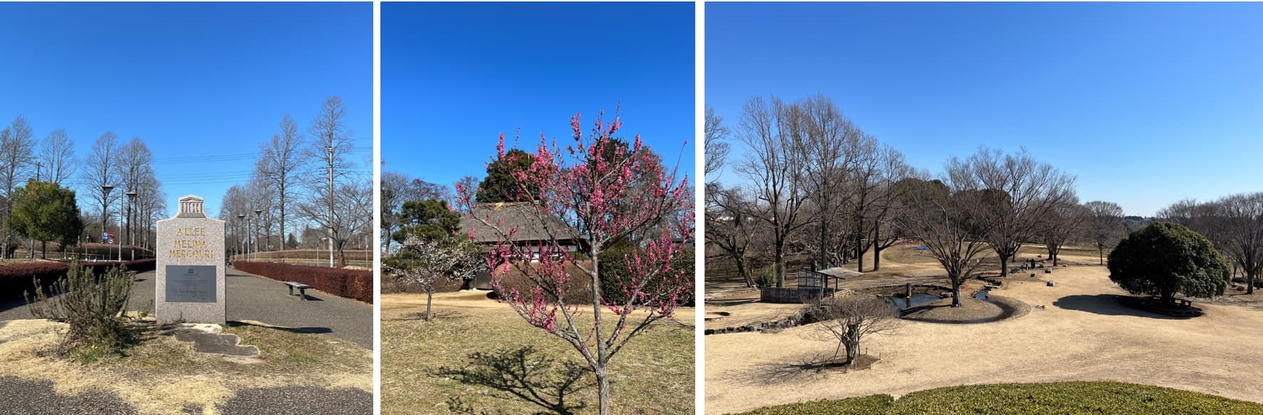 ⑤レーベン古河 REFAIMEの周辺環境（公園）