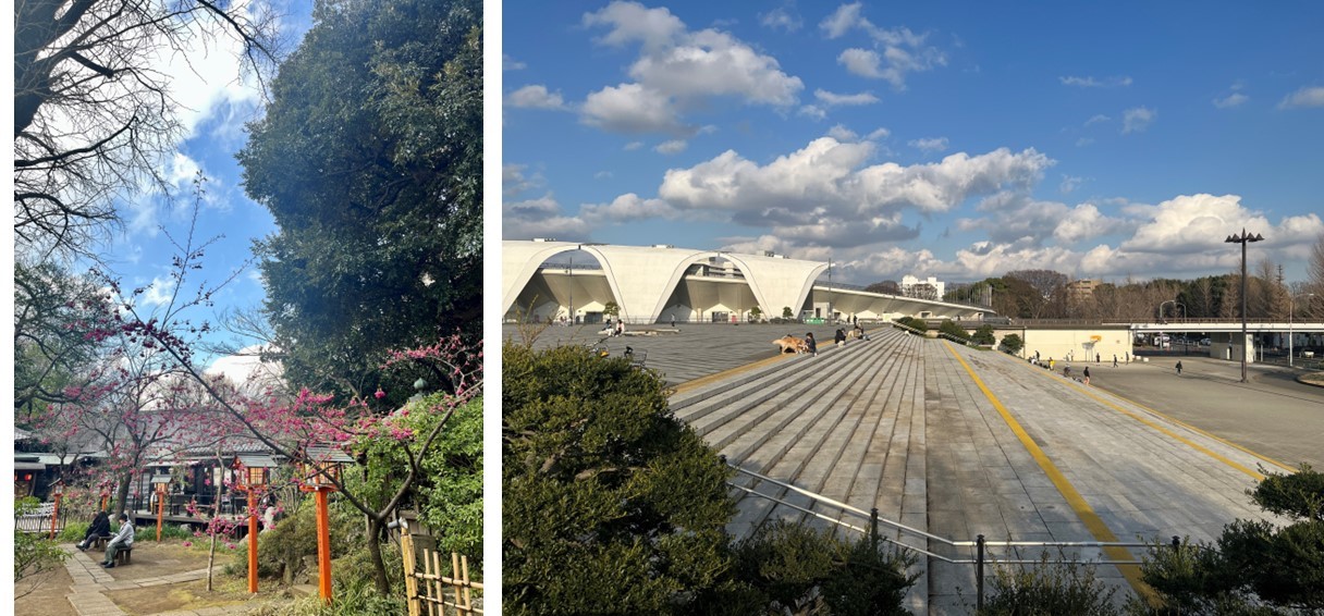 ピアース等々力レジデンスの周辺環境（公園）