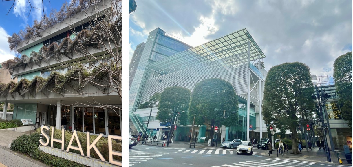 ピアース等々力レジデンスの周辺環境（二子玉川の街並み）