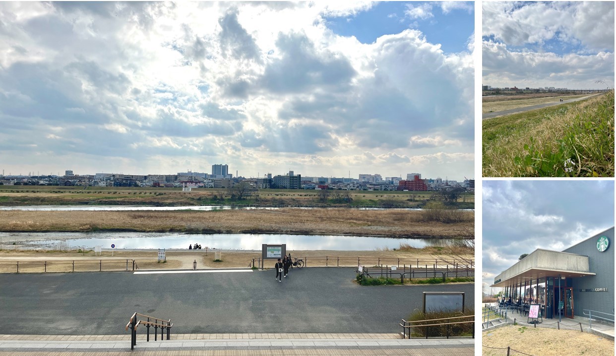 ディアナコート二子玉川翠景の周辺環境（公園）