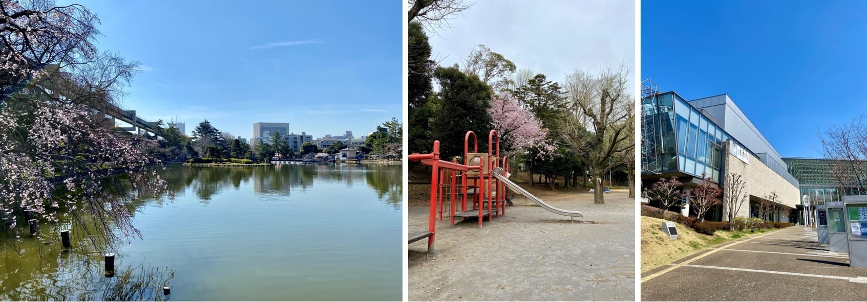 ⑤プレミスト千葉公園の千葉公園