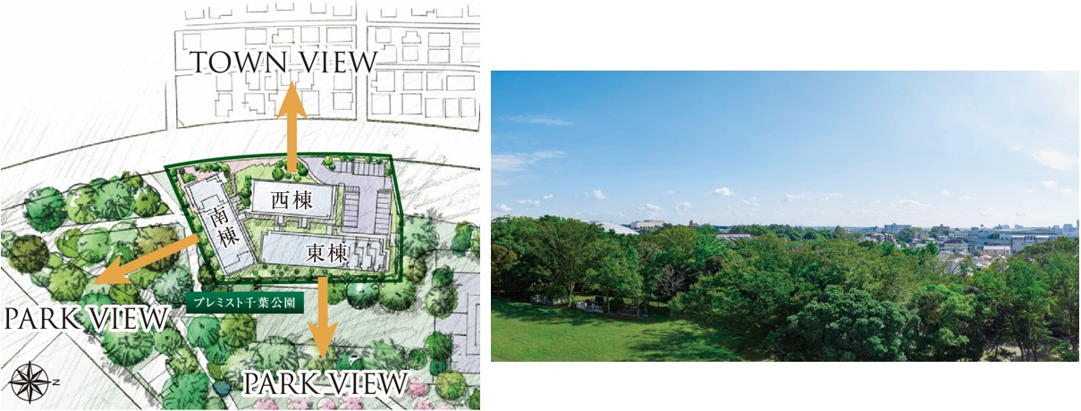 ⑥プレミスト千葉公園の配当図と眺望