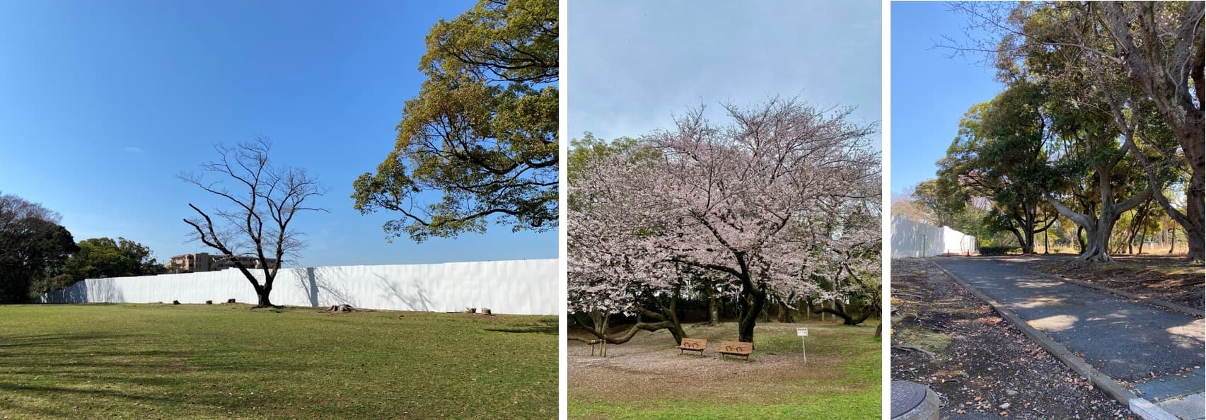 ⑦プレミスト千葉公園の現地