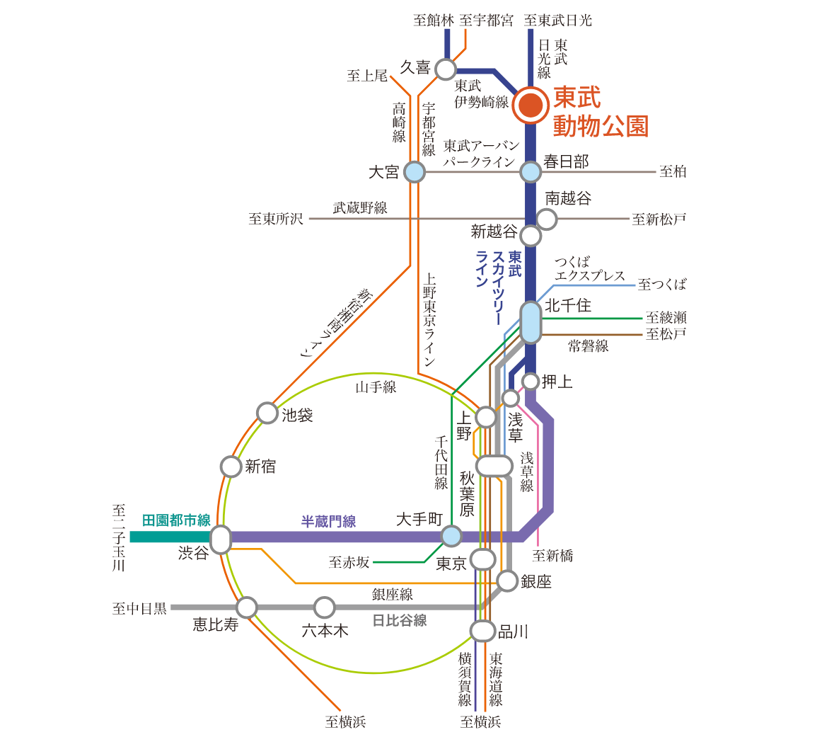 ①センチュリー東武動物公園の交通アクセス図
