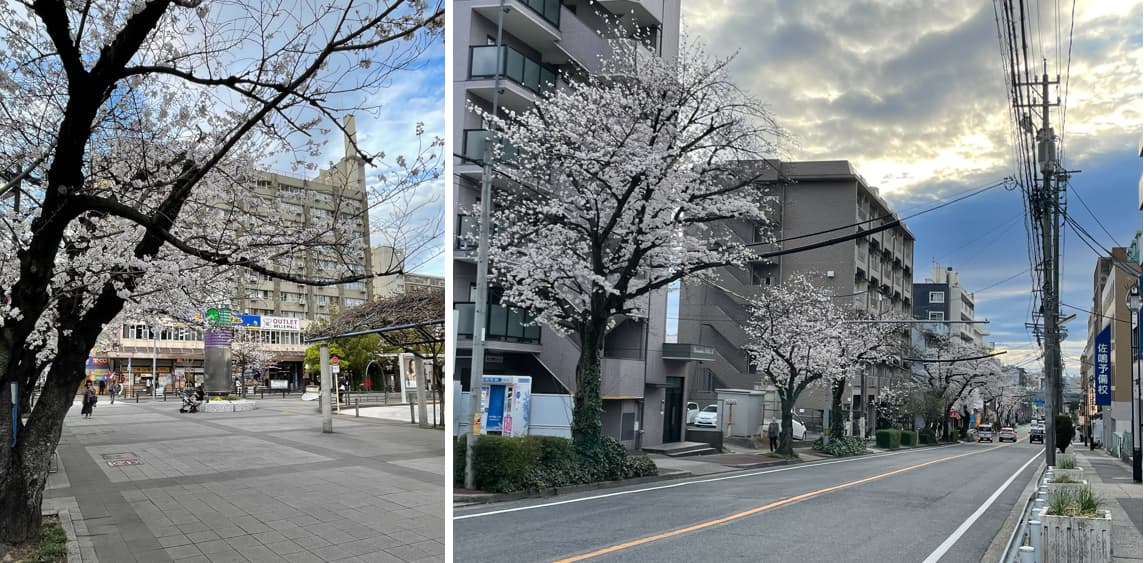 ④バンベール藤が丘ヒルズの駅からのルート