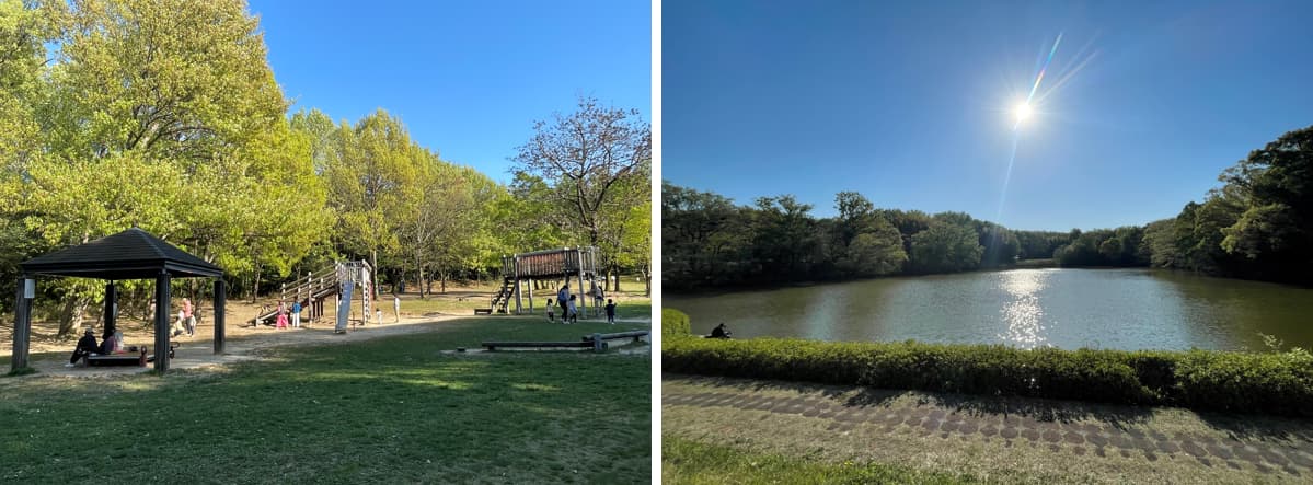 ⑦バンベール藤が丘ヒルズの明徳公園