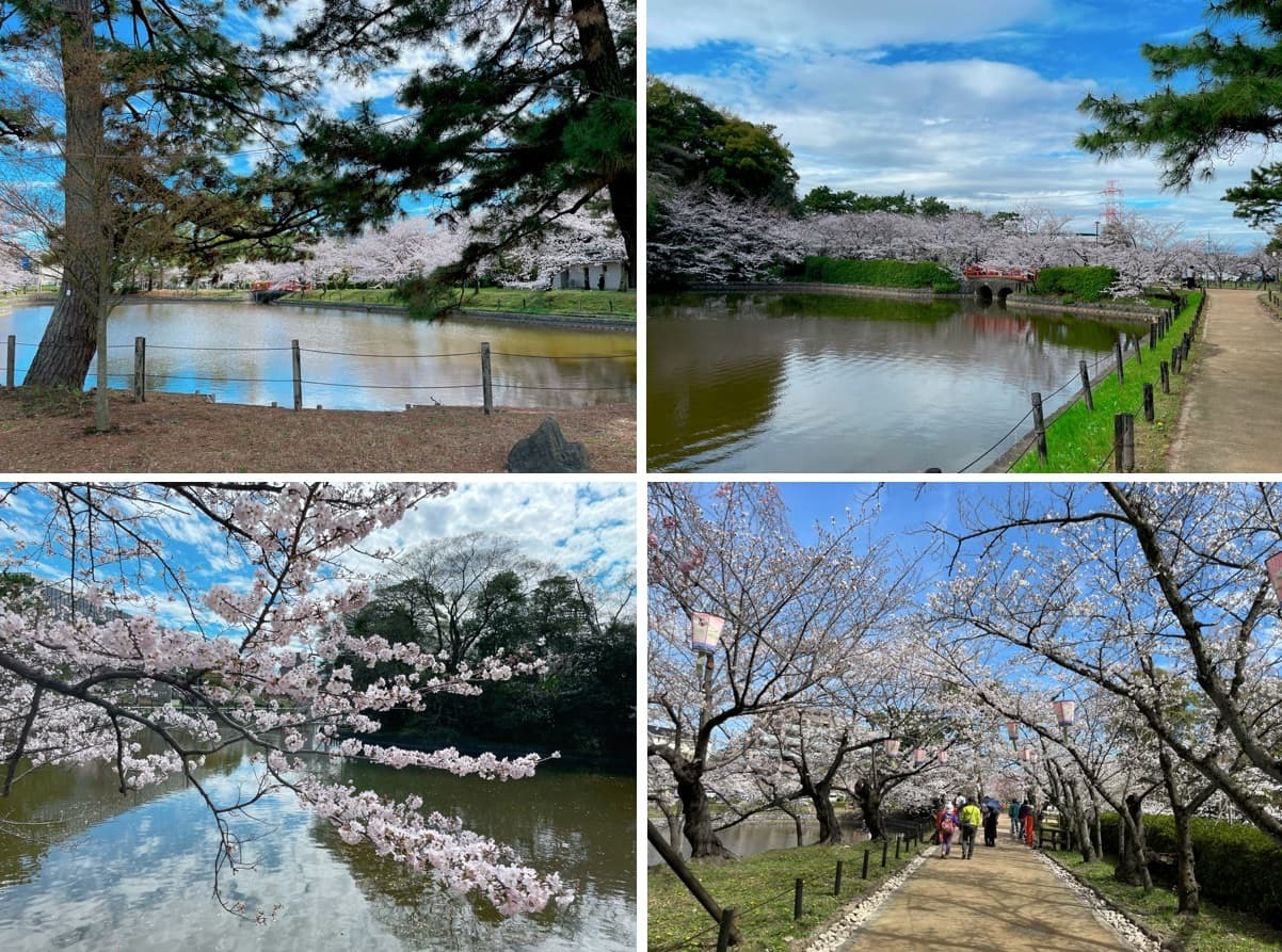 ④バンベール刈谷マスターコートの亀城公園