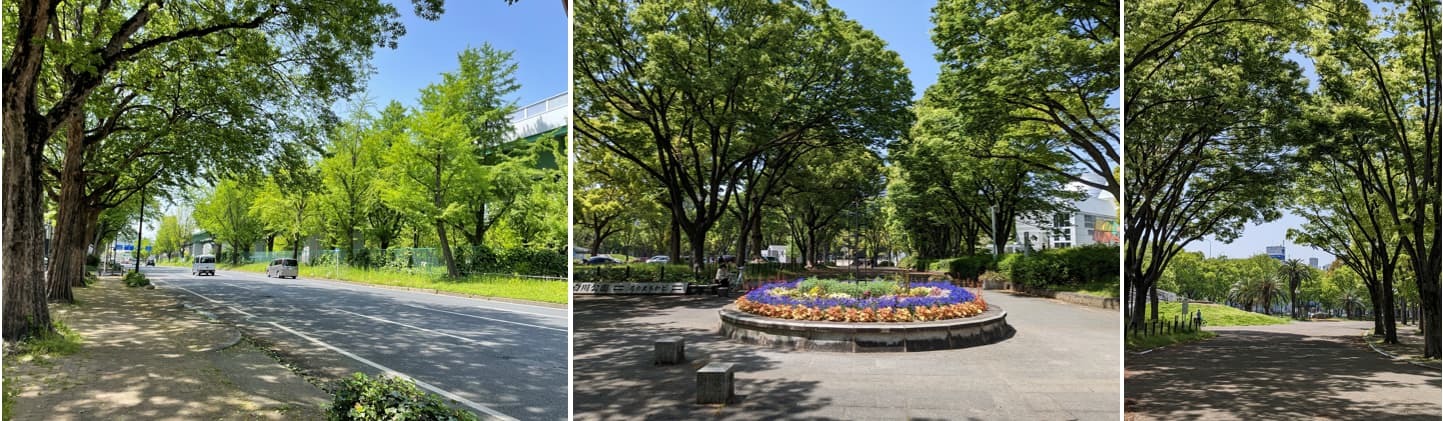 ③グランドメゾン大須 ザ・タワーの自然環境