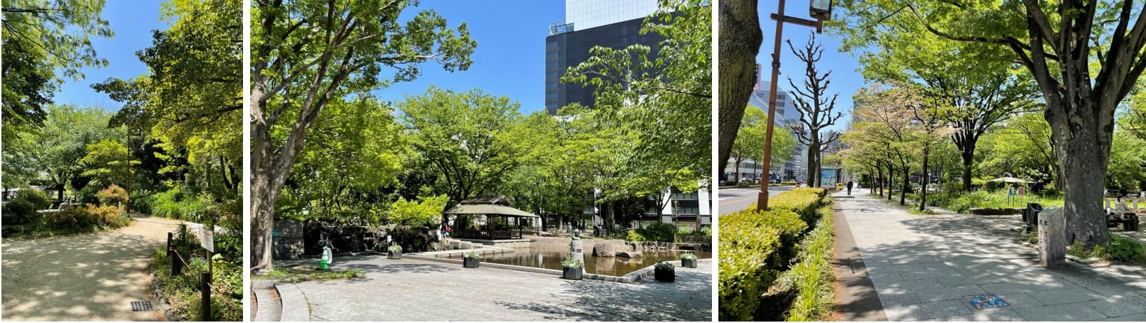 ②グランドメゾン伏見の公園