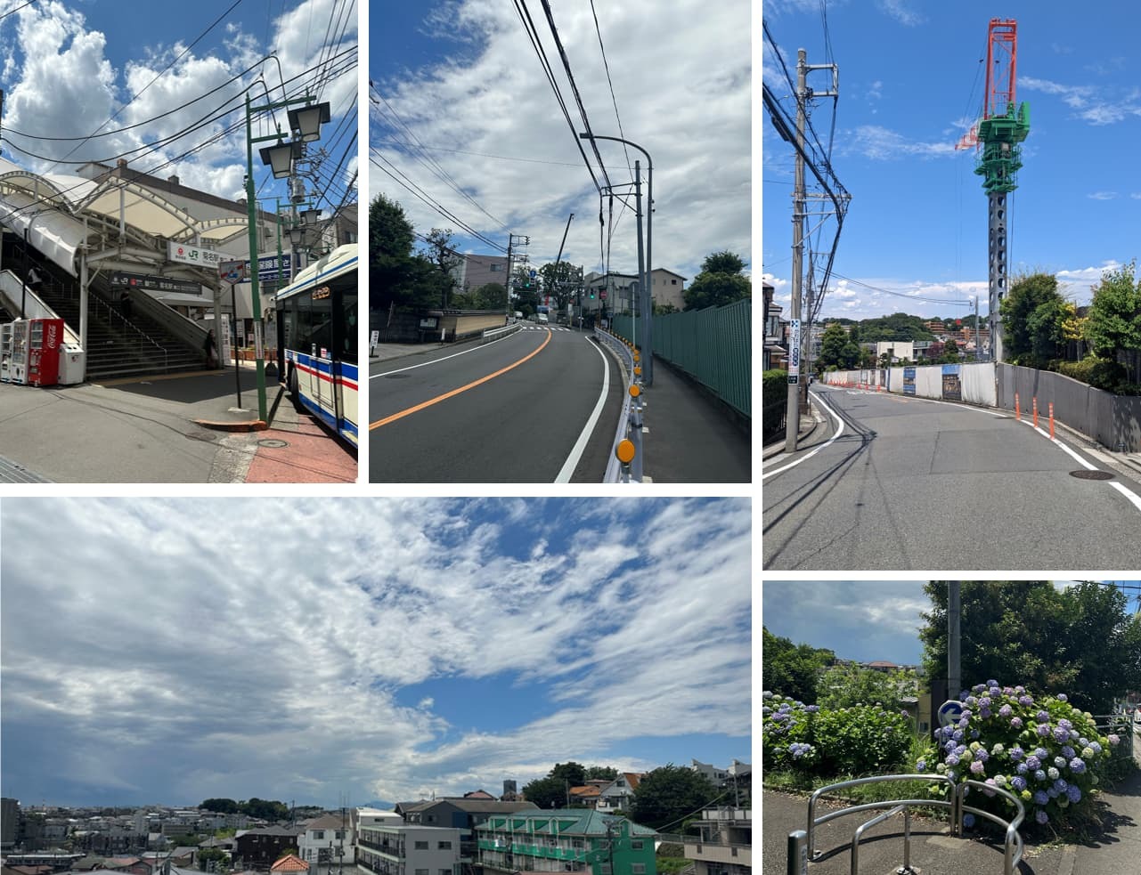 ヴェレーナグラン菊名の杜の周辺環境