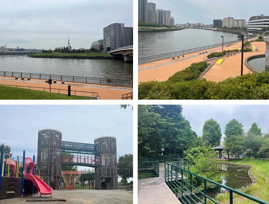 プレシスヴィアラ千住曙町の周辺環境（公園）