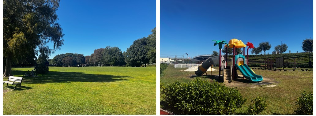 センチュリー浦和美園の周辺環境（公園）