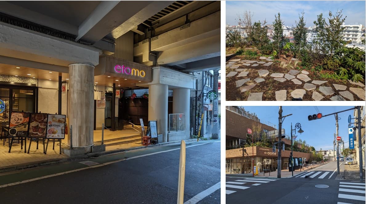 ディアナコート自由が丘翠景の周辺環境（商業施設）