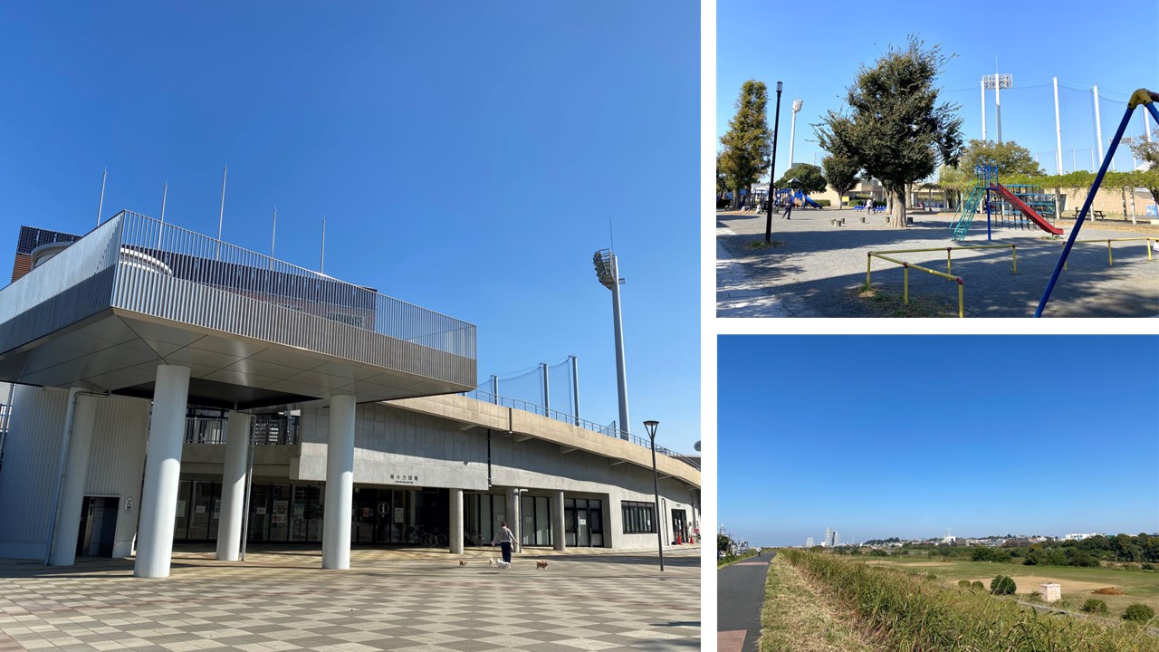 アールブラン武蔵新城テラスの周辺環境