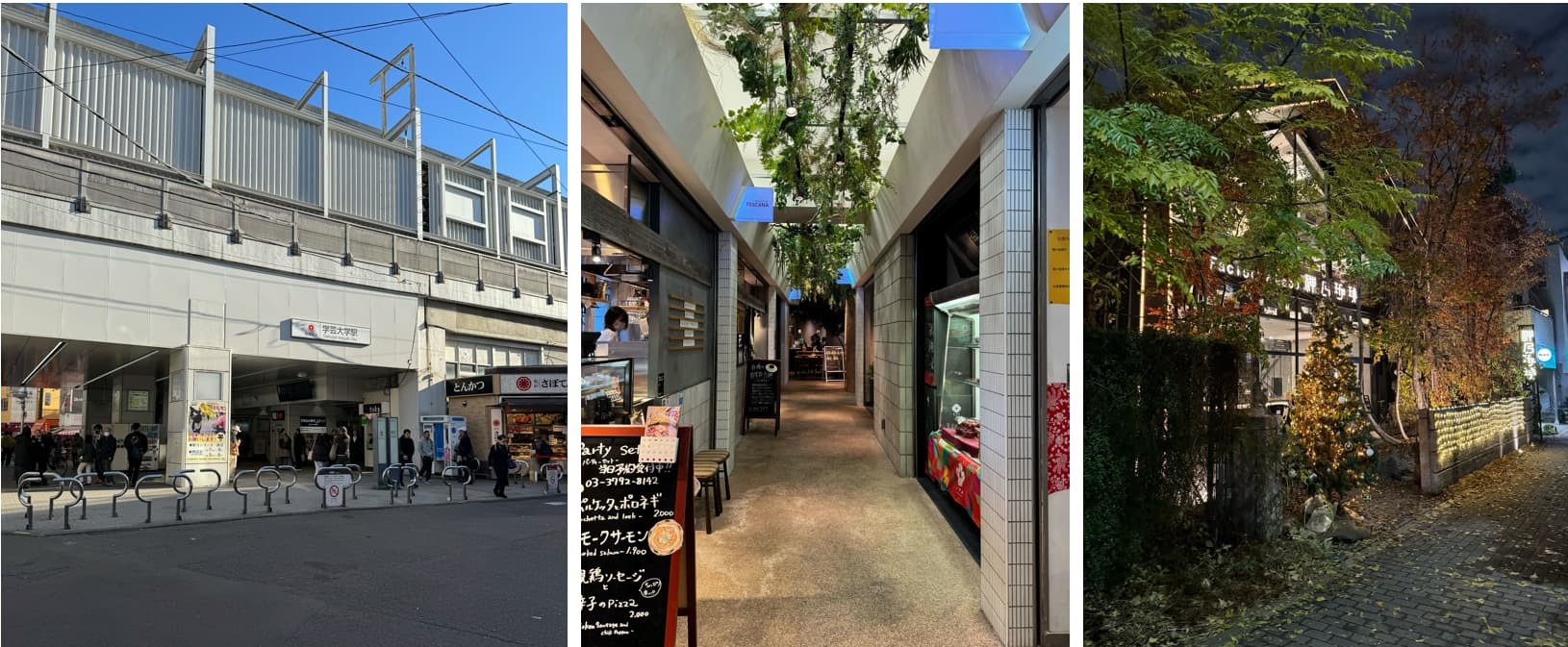 ピアース学芸大学レジデンスの周辺写真