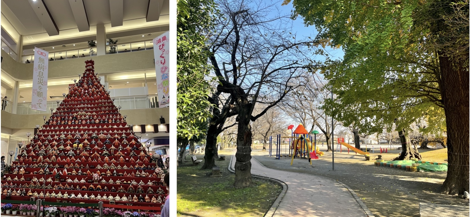 COCOCHI FIRST PROJECT（ココチファースト プロジェクト）の周辺環境（公園）