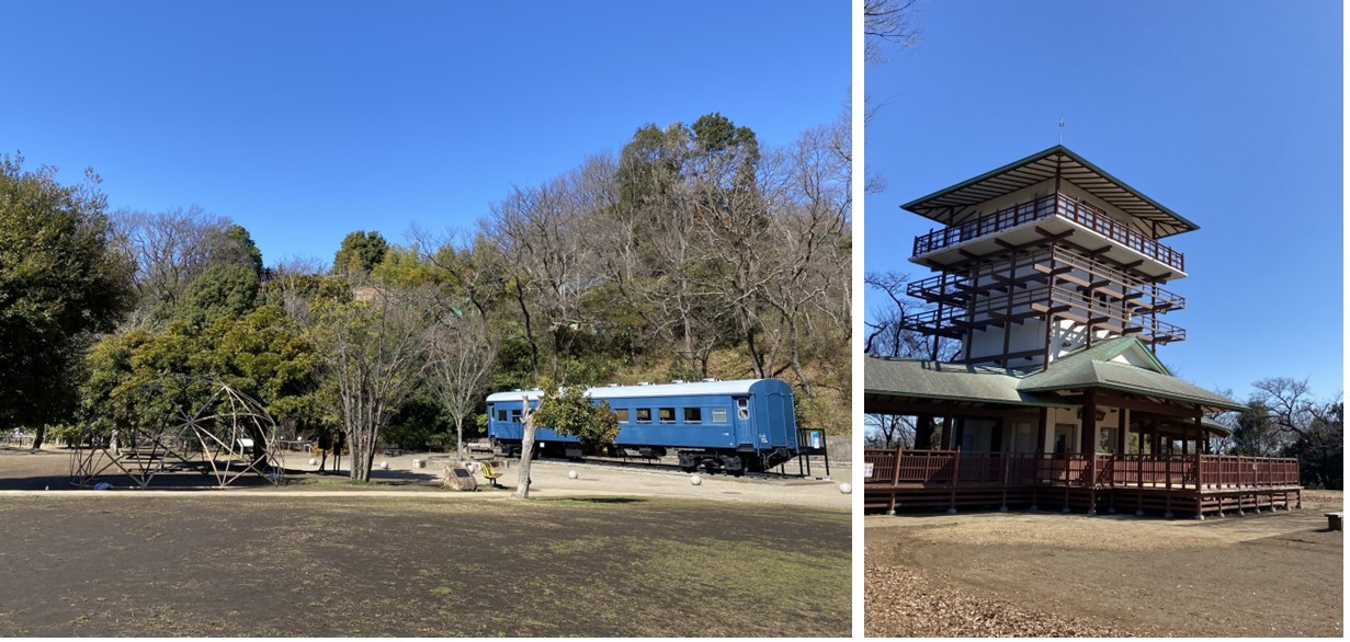 パークタワー向ヶ丘遊園の周辺環境（広場）