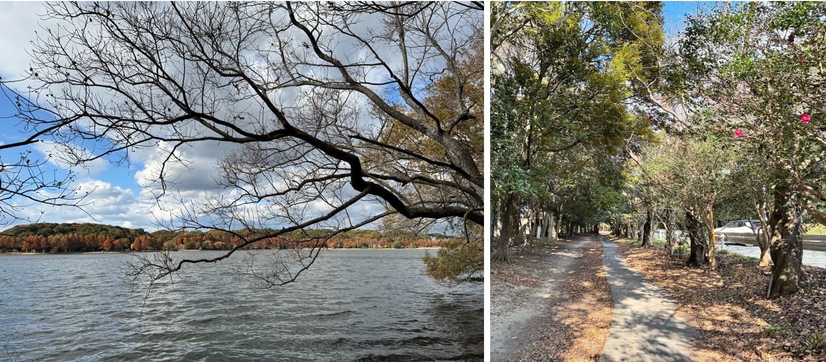 ④ル・シェモア鴨江IIIの周辺環境佐鳴湖（WoMansion）