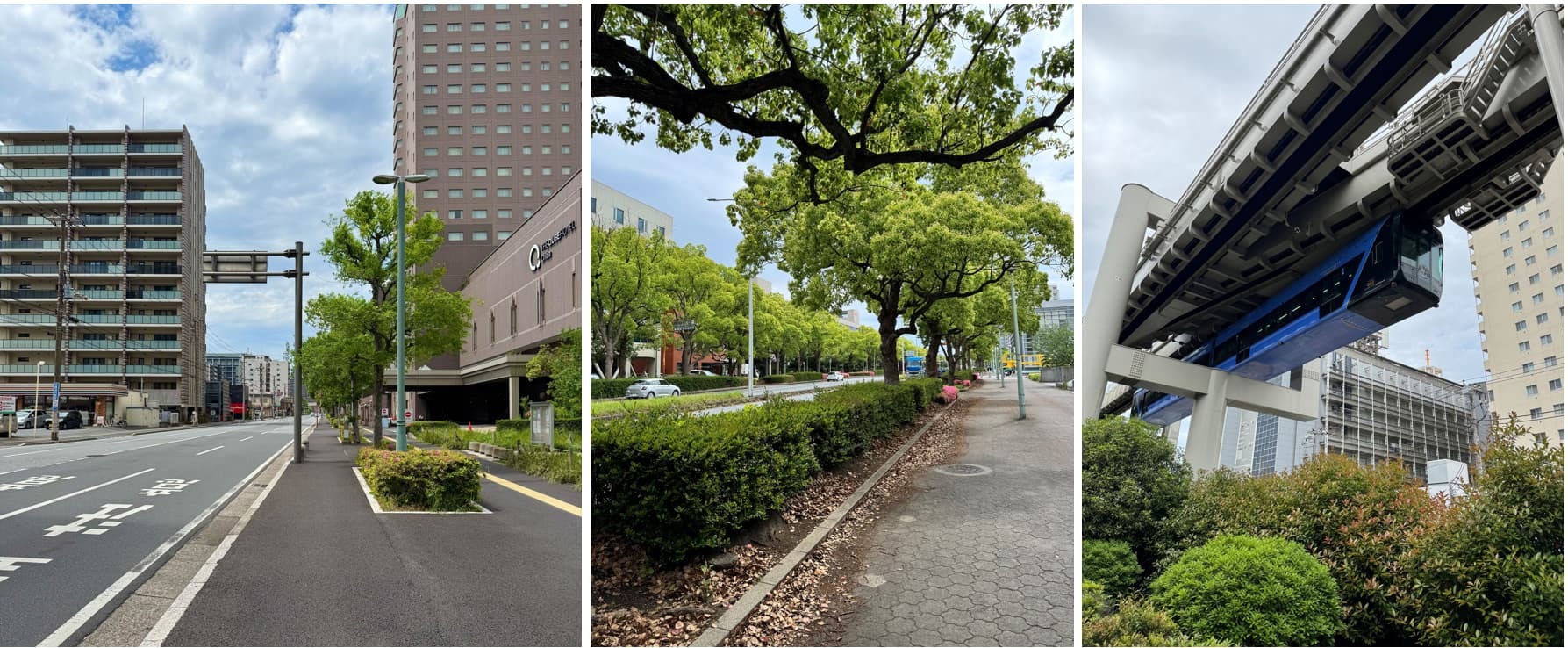 ⑤ファインセントラルシティの周辺写真(歩道のしっかりある道)WoMansion