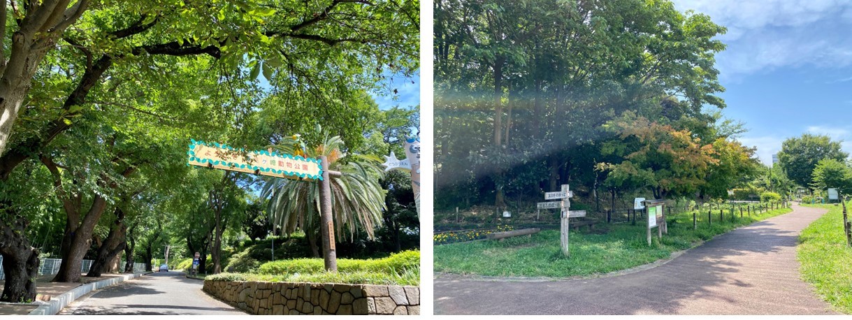 クレストプライムレジデンスの周辺環境（公園）